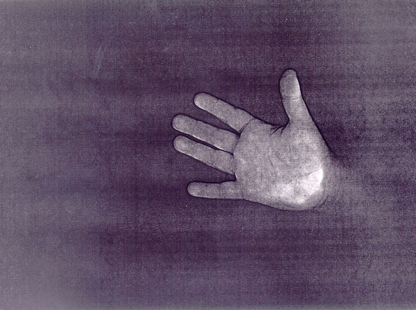 una fotocopia, la mano dell'Irene S.