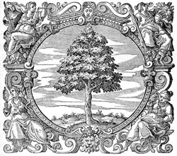 marca tip. di A. Pinelli, 1610