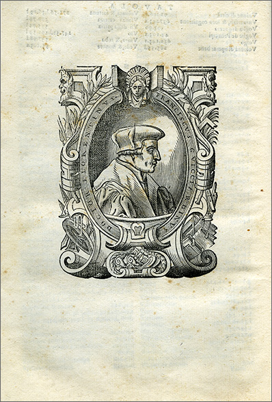 ritratto di Francesco Guicciardini