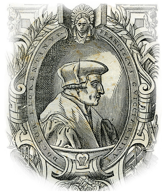 ritratto di Francesco Guicciardini