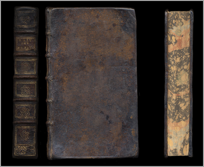 dorso, piatto anteriore e taglio-davanti