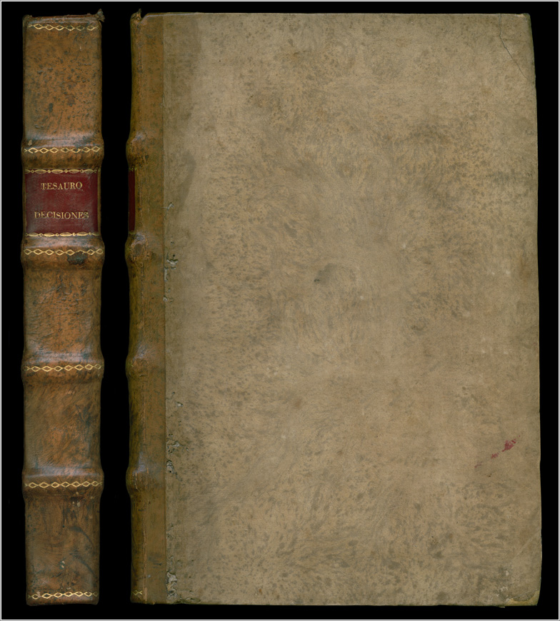 dorso e piatto anteriore