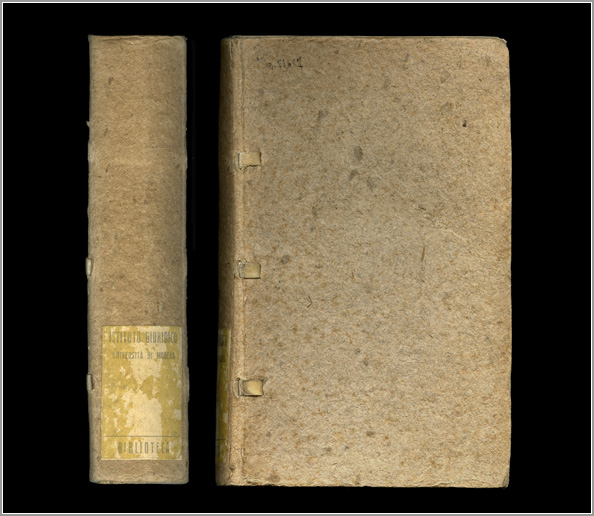 dorso e piatto anteriore