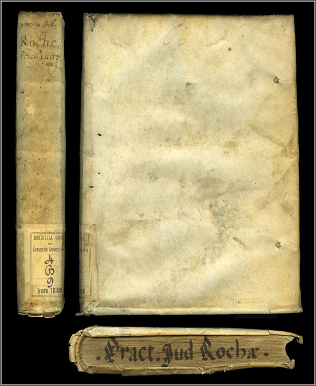 dorso, piatto anteriore e taglio di piede, con part. del capitello dorso, piatto anteriore e taglio di piede, con part. del capitello