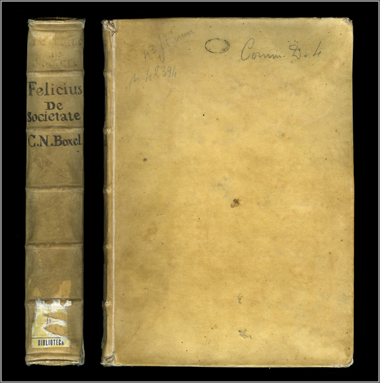 dorso e piatto anteriore dorso e piatto anteriore