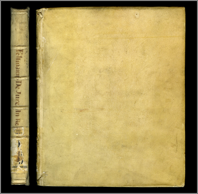 dorso e piatto anteriore