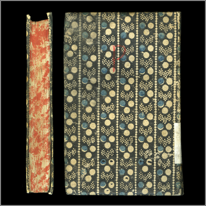 dorso e piatto anteriore