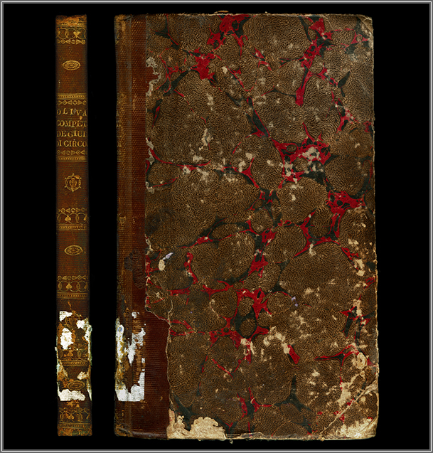 dorso e piatto anteriore