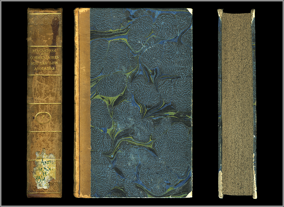 dorso, piatto e taglio anteriori