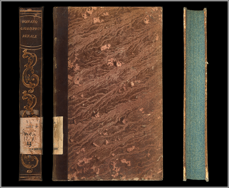 dorso, piatto e taglio anteriori