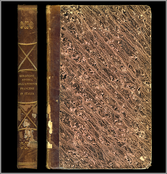 dorso e piatto anteriore