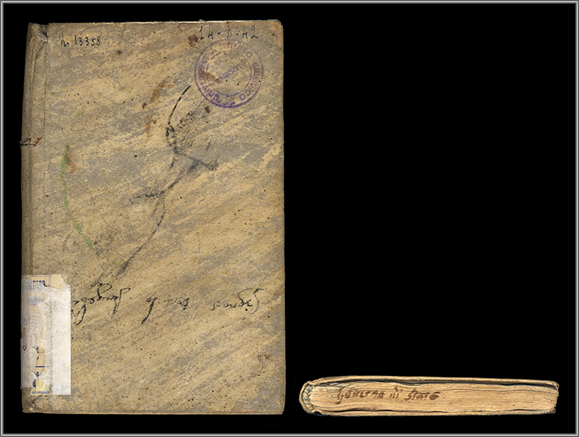 dorso e taglio di piede