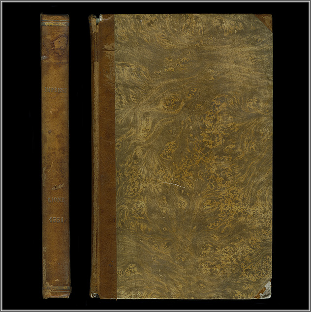 dorso e piatto anteriore