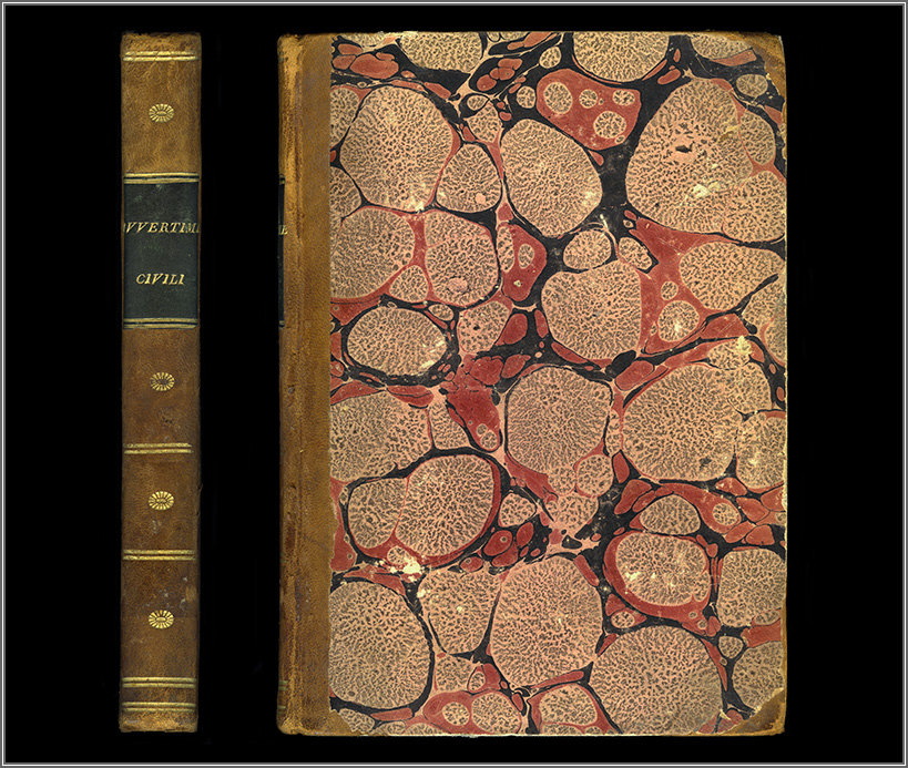 dorso e piatto anteriore