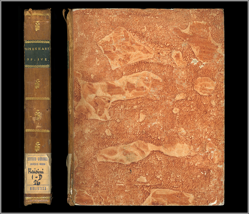 dorso e piatto anteriore