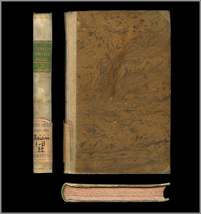 dorso, piatto anteriore e taglio di piede dorso, piatto anteriore e taglio di piede