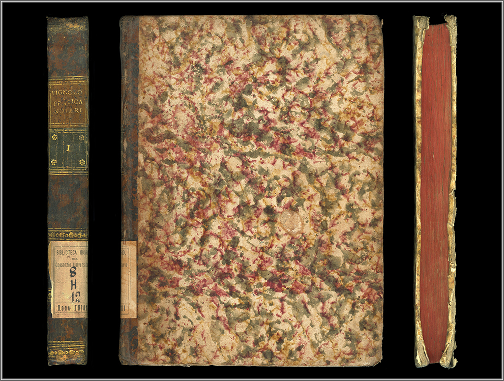 dorso, piatto e taglio anteriore