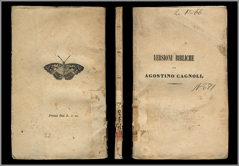 piatto posteriore, dorso e piatto anteriore