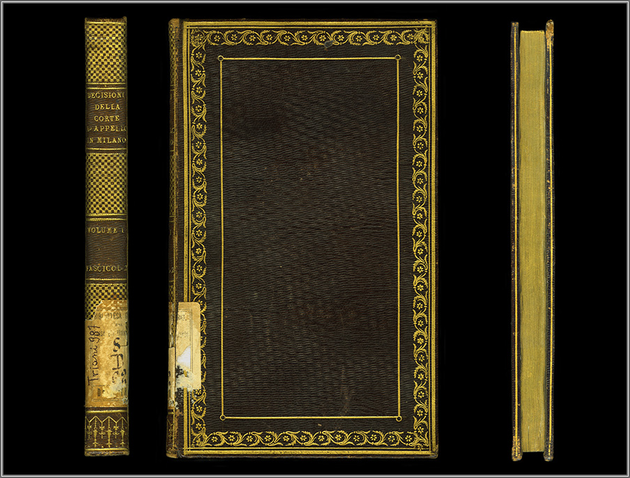 dorso, piatto e taglio anteriori