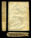 pergamena floscia, XVI secolo