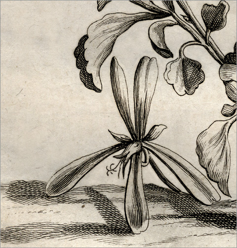 particolare della Fig. 4 particolare della Fig. 4